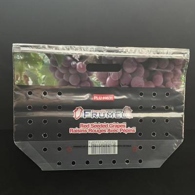 China Customized Printed Transparent PP Pouch Grapes Disposable Packaging StandUp Bags With Handle And Zipper for sale