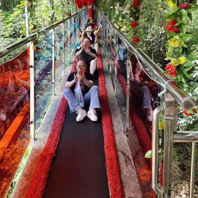 China Longevity how to ride a magic carpet lift for skiing or scenic areas and amusement park for sale