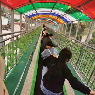 China Safe And Durable Scenic Guided Belt Conveyor People Transport Area Ski Or Escalators And Moving Walkways for sale