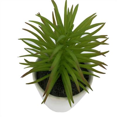 China Environmental Friendly Wholesale Artificial Succulent Plants For Home Office Decoration for sale