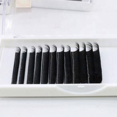 China Super Flexible Bloom Lashes Self Fanning Lashes Russian Volume Person Lashes Fans Easy Eyelash Extension for sale