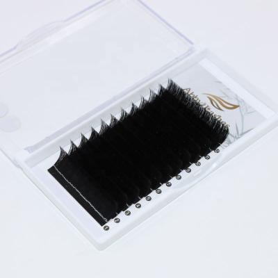 China glitter & 100% Handmade Shiny Luxury People Shimmery Lash Flat Ellipse Eyelash Extensions 8-25mm for sale