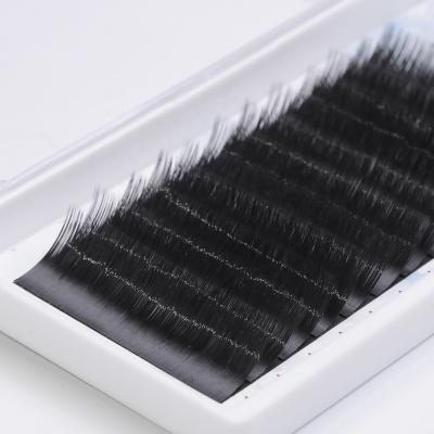 China Natural Soft Volume Eyelash Mink Eyelash Extensions Wholesale Private Label for sale