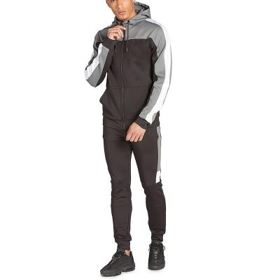 China Hot Sale Plus Size Fitness Men Hoodie Plus Size OEM Zipper Cropped Top Hoodie for sale