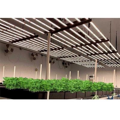 China Seed Seed Growing Indoor Plants Grow Lights Spydr Led To Grow Light for sale