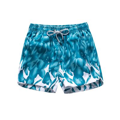 China Hot Style Anti-Wrinkle Anti-Wrinkle Beach Pants Quick Dry Sports Beach Short Pants Swimming Printed Casual Shorts Customized Size Men for sale