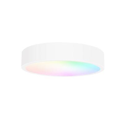 China Change colors project led chandelier dmx512 rgb smarter lighting hanging ring lights for subway for sale