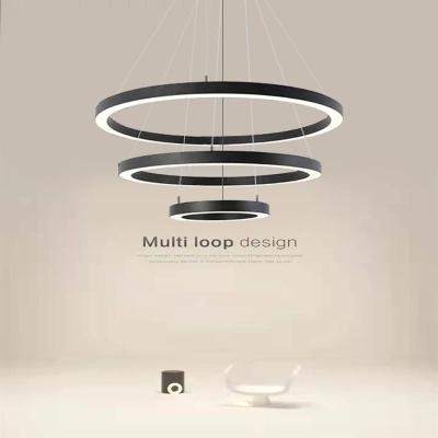 China Modern Customized Ring Led Linear Led Pendant Light For Decorative Pendant Light for sale