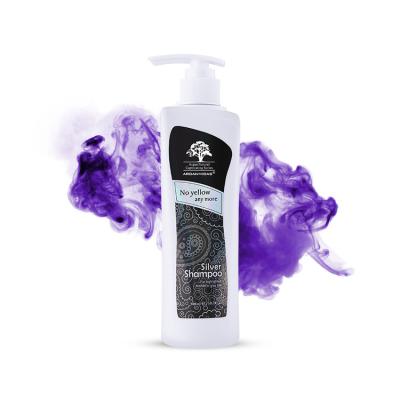 China Wholesale New Hair Color Anti-itching Purple Shampoo Hot Silver Shampoo For Blonde Hair for sale