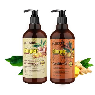 China Private Label Hair Product Anti-Itch Shampoo And Conditioner Set Damaged Hair for sale