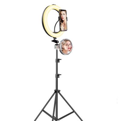 China 10W 12W 1.6M Portable Webcam Beauty Makeup Tiktok Circle 26cm Tripod Stand Professional 33cm LED RGB Soft Ring Fill Light for sale