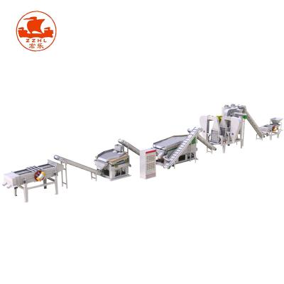 China Industrial Raisin Raisin Cleaning and Sorting Line Fruit Washing and Processing Machine Sorting Machine for sale