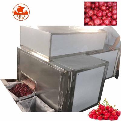 China Newest Cherry Fruit Pitting Machine Cherry Seed Remover Machine for sale