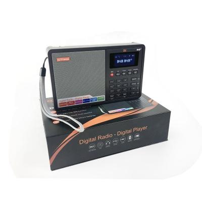 China LCD display GTMEDIA D1 DAB digital radio card with LCD display support DAB and FM band BT TF and AUX. in function for sale