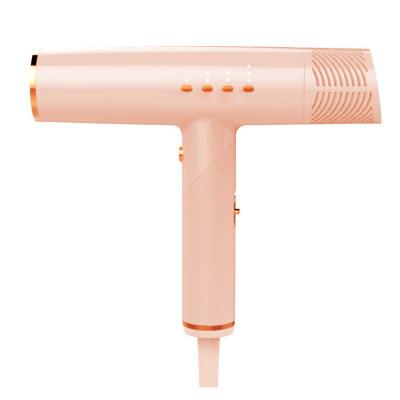 China 2021 Guangzhou Blower Ion Domestic Hair Dryer Hair Ionic Hot Negative Blow Dryer for sale