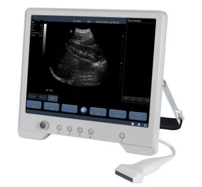 China High Quality Frequency Depth 2-11MHz/220mn B/W Vet Ultrasound Scanner B20V-N B20 Portable Scanning Machine B20 for sale