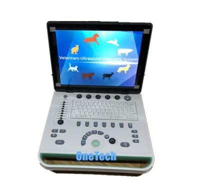 China Hot B13vet-N B13 laptop B13 ultrasound machine scanner /high quality veterinary used portable image display for sale