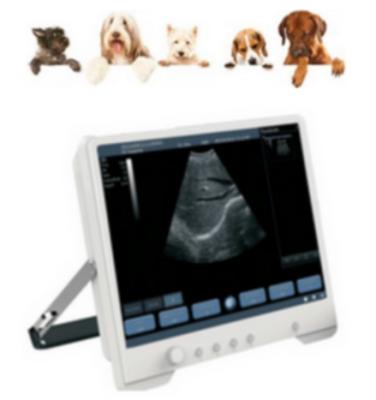 China B20vet-N Tablet Vet Ultrasound Machine for Dogs, Cats, Sheep etc. Touch Screen Ultrasound with microconvex probe for pregnancy B20vet B20vet for sale