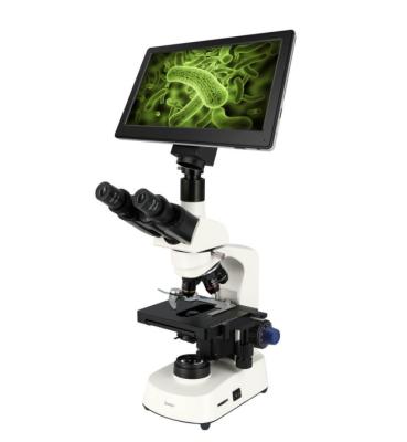 China Cost effective high resolution LCD digital trinocular microscope with camera MS-N117A-N MS-N117A MS-N117A for sale