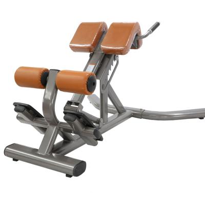 China Best Seller Modern Adjustable Fitness Exercise Bench Roman Chair for sale