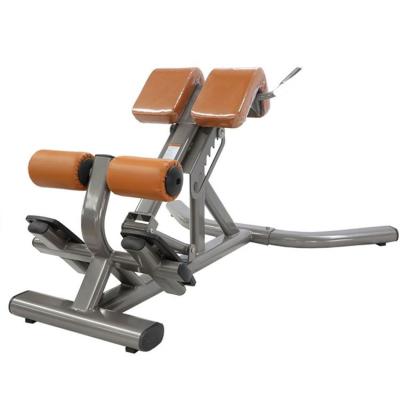 China Modern Adjustable Roman Chair Abdominal Waist and Abdomen Training Equipment for sale