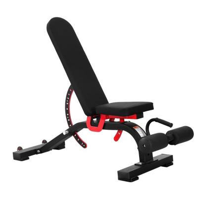 China Factory Price Modern Adjustable Gym Weight Lfiting Dumbbell Bench for sale