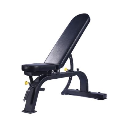 China Modern Wholesale Customized Home Gym Adjustable Dumbbell Bench for sale