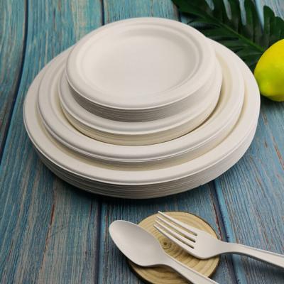 China Modern simple pulp party bagasse sugar cane platos biodegradables dinner restaurant disposable paper plate for sale