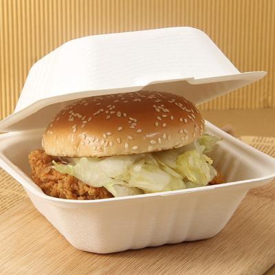 China Biodegradable Biodegradable Catering Take Away Pizza Burger Bento Meal Fast Food Packaging for sale