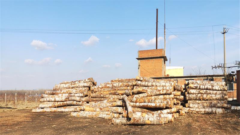 Verified China supplier - Dalian Yisheng Wood Co., Ltd.