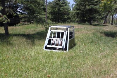 China Aluminium Transport Dog Cage for sale