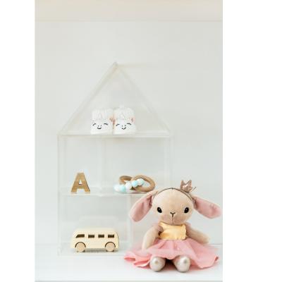 China Acrylic Cosmetic Wall Mount Holder Decoration Sign Box Spring Storage Shelf For Kids for sale