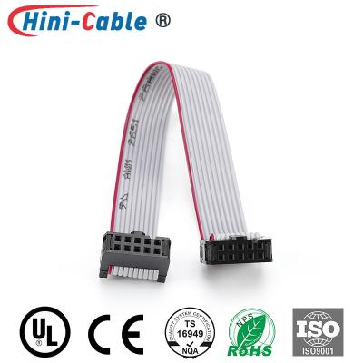 China Electronic Device Red Side 2.54mm 2x5Pin Flat Ribbon Cable for sale