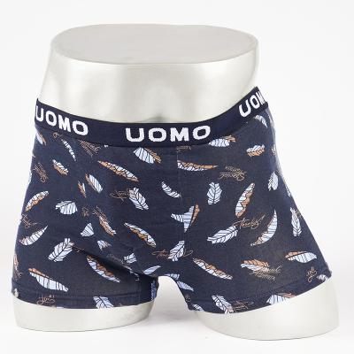 China Antibacterial plus print size customized men's leaf logo boxer breathable panties with wide waistband uomo underwear for man for sale