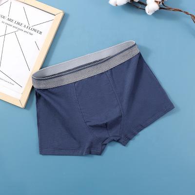 China Anti-Static Boxer Briefs Man 95cotton 5spandex Plus Size Underwear Mens Boxer Briefs for sale