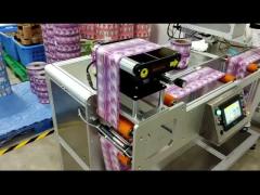 Dynamic Flying Marking Industrial Inkjet Printer