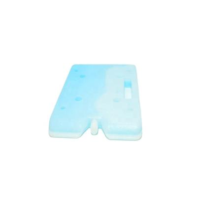 China Professional Custom Design Picnic Safe Items Insulated Portable Plastic Freeze Ice Brick Big For Cooler Boxes for sale