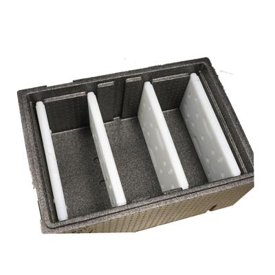 China Wholesales waterproof PPE foam flip box iceless cooler insulated compact cold chest for sale