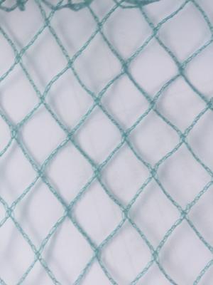 China Diamond Mesh Anti Bird Netting , HDPE Fruit Tree Bird Netting , Green for sale