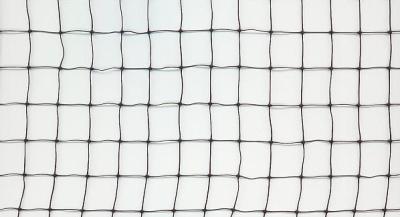 China Square Mesh Anti Bird Netting for sale