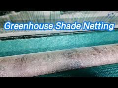 HDPE Greenhouse Shade Netting 100gsm Anti UV Tensile Resistant For Agriculture