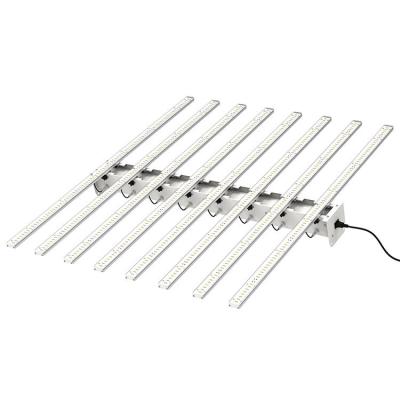 China Full Spectrum New Design Hydroponic Bar Lights Dimmable 800W LED Grow Light PL-800W-D1 for sale