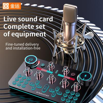 China Perfect Professional Sound KINGLUCKY V20 Sound Card with 25mm Condenser Studio Microphone for Broadcast TikTok Live for sale