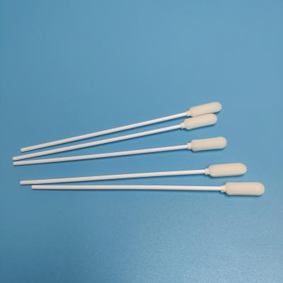 China PP Stick Foam Sponge Head Disposable Sampling Swab White Color for sale