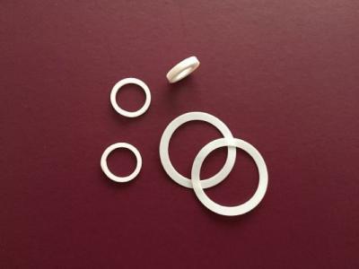 Cina Buon PTFE di lubrificazione Ring Gasket in vendita