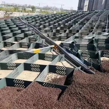 China Modern Gravel Grid Pavers Geocell for sale