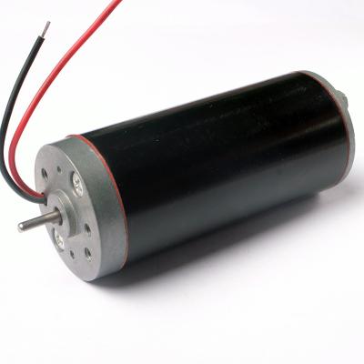 China DC Drip Proof High Speed ​​Micro Motor 1500Rpm 3000Rpm 5000Rpm 10000Rpm Micro Air Servo Motor for sale