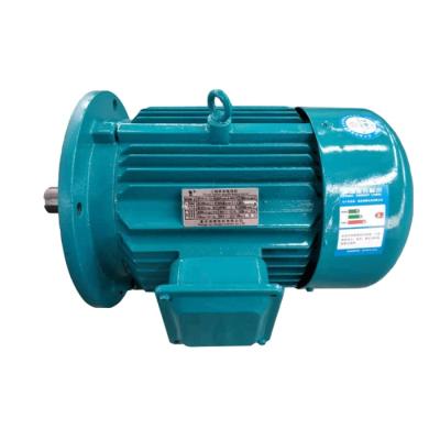 China China Totally Enclosed Three Phase 460V AC Induction Electric Motor for sale