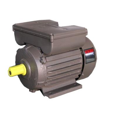 China 1440RPM YL90L-4 0.75KW Single Phase Totally Enclosed Motor with Best Price for sale