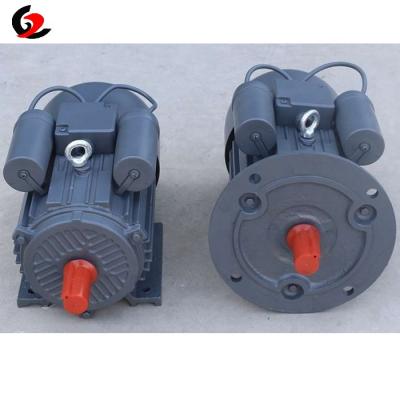 China Wholesale Price Single Phase Ac Totally Enclosed Electric Motor for sale